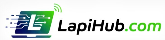 lapihub.com